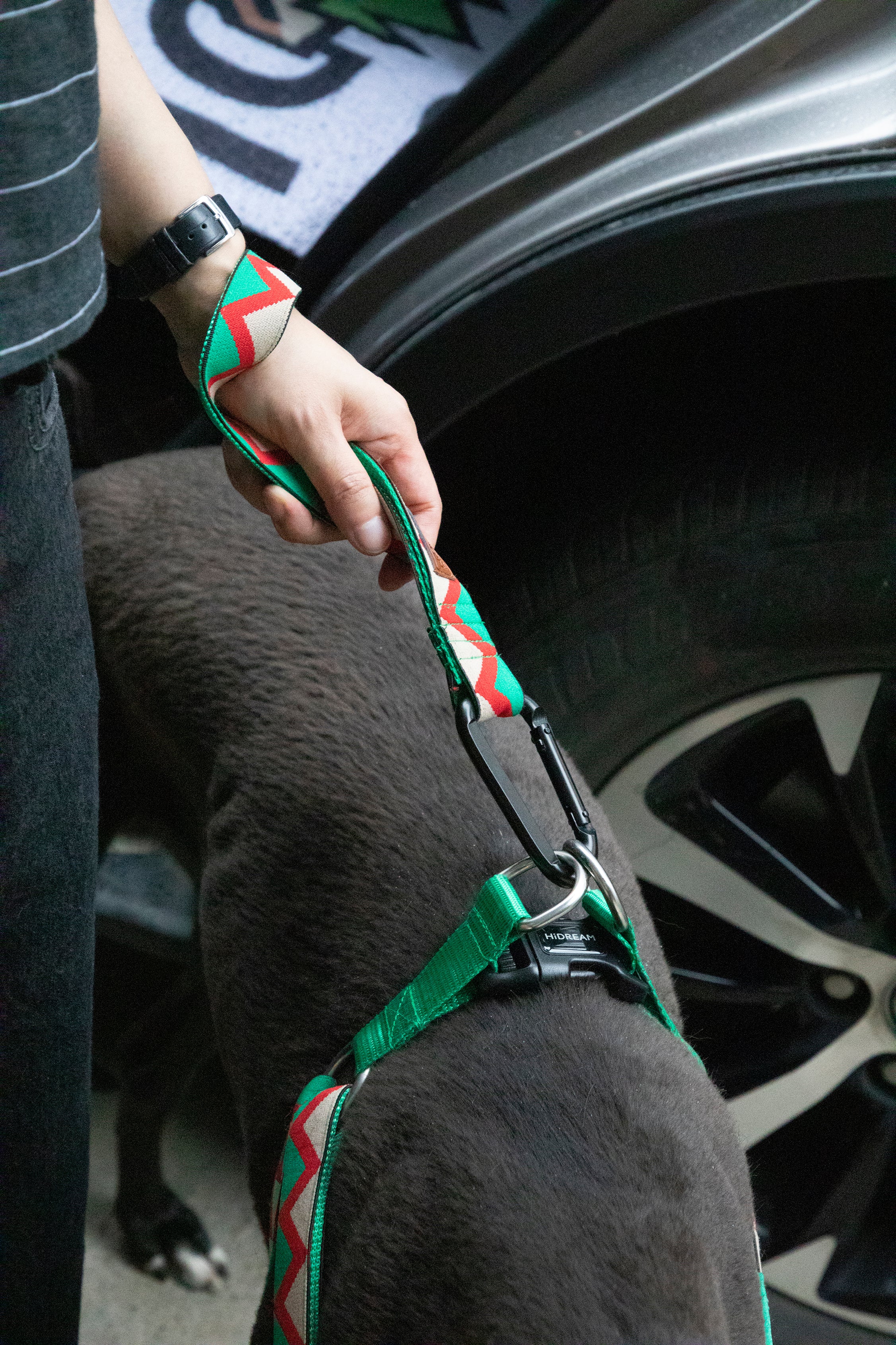 Rainbow Series - Multi functional Safety Strap