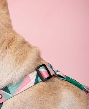Vest Style Lightweight Chest Harness