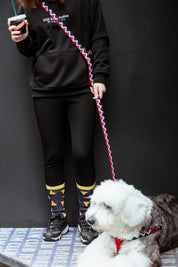 Rainbow Series - Multi functional Traction Rope