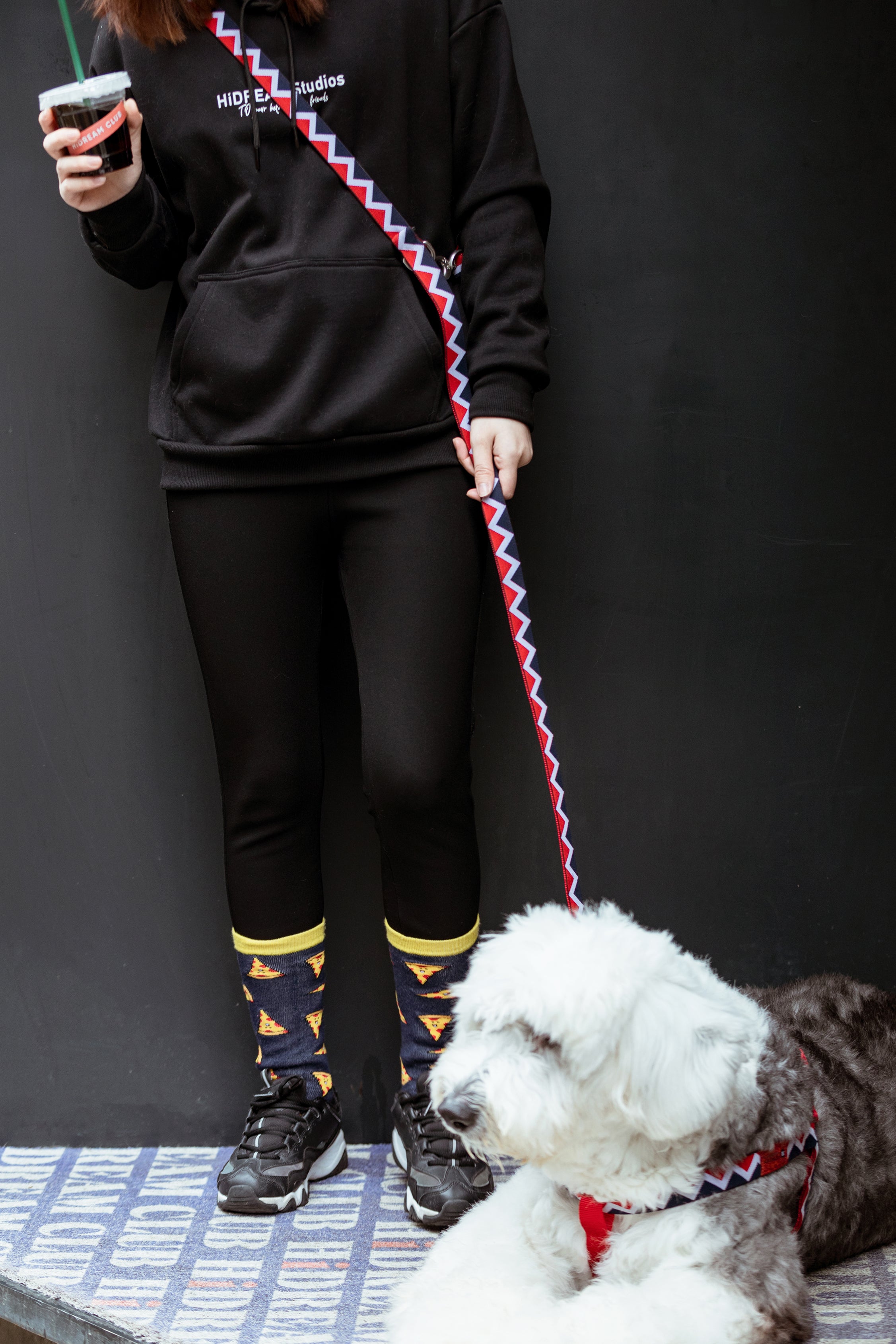 Rainbow Series - Multi functional Traction Rope