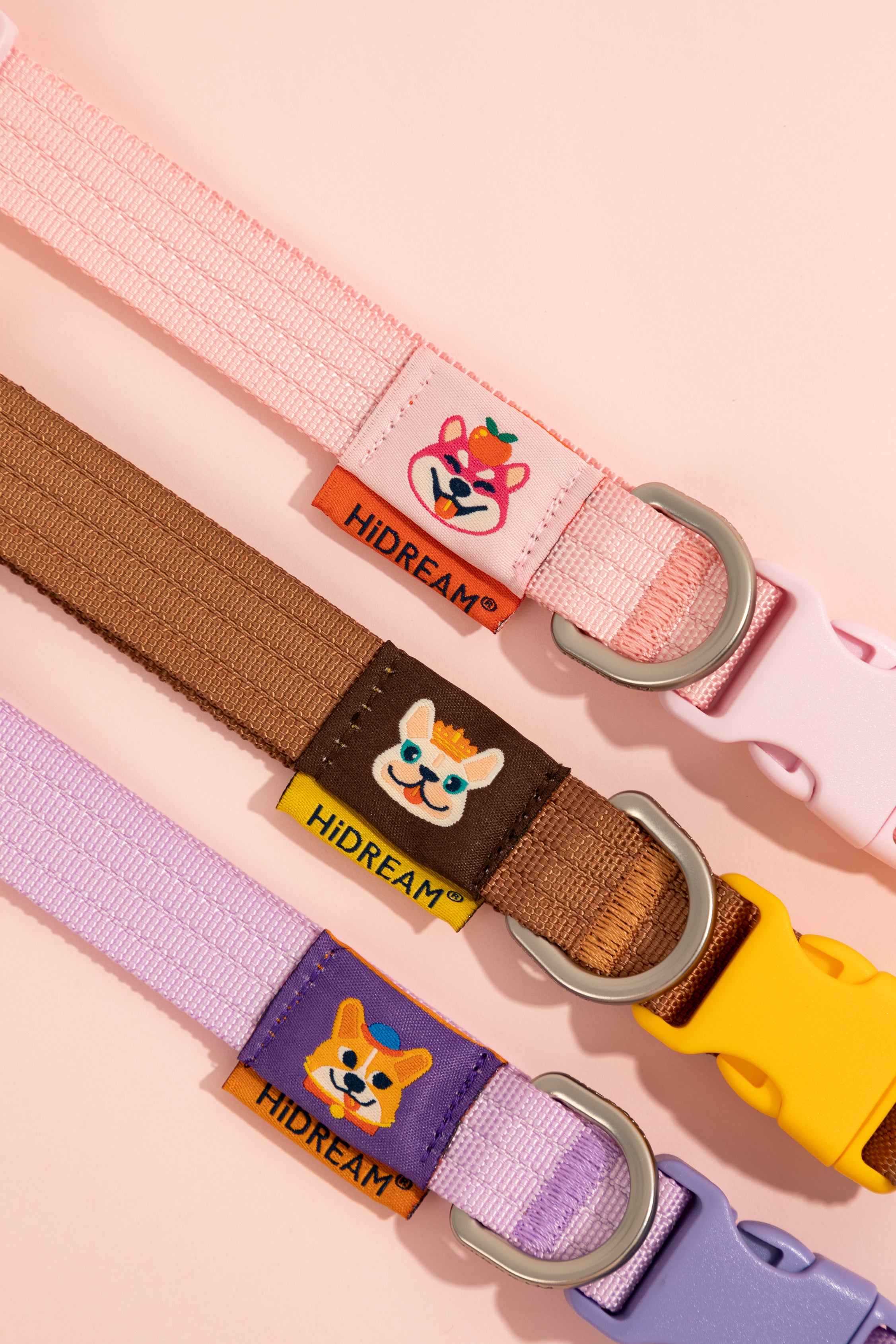 Pet Walk Dashun Collar