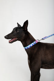 Rainbow Series - Collar