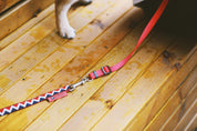 Rainbow Series - Multi functional Safety Strap