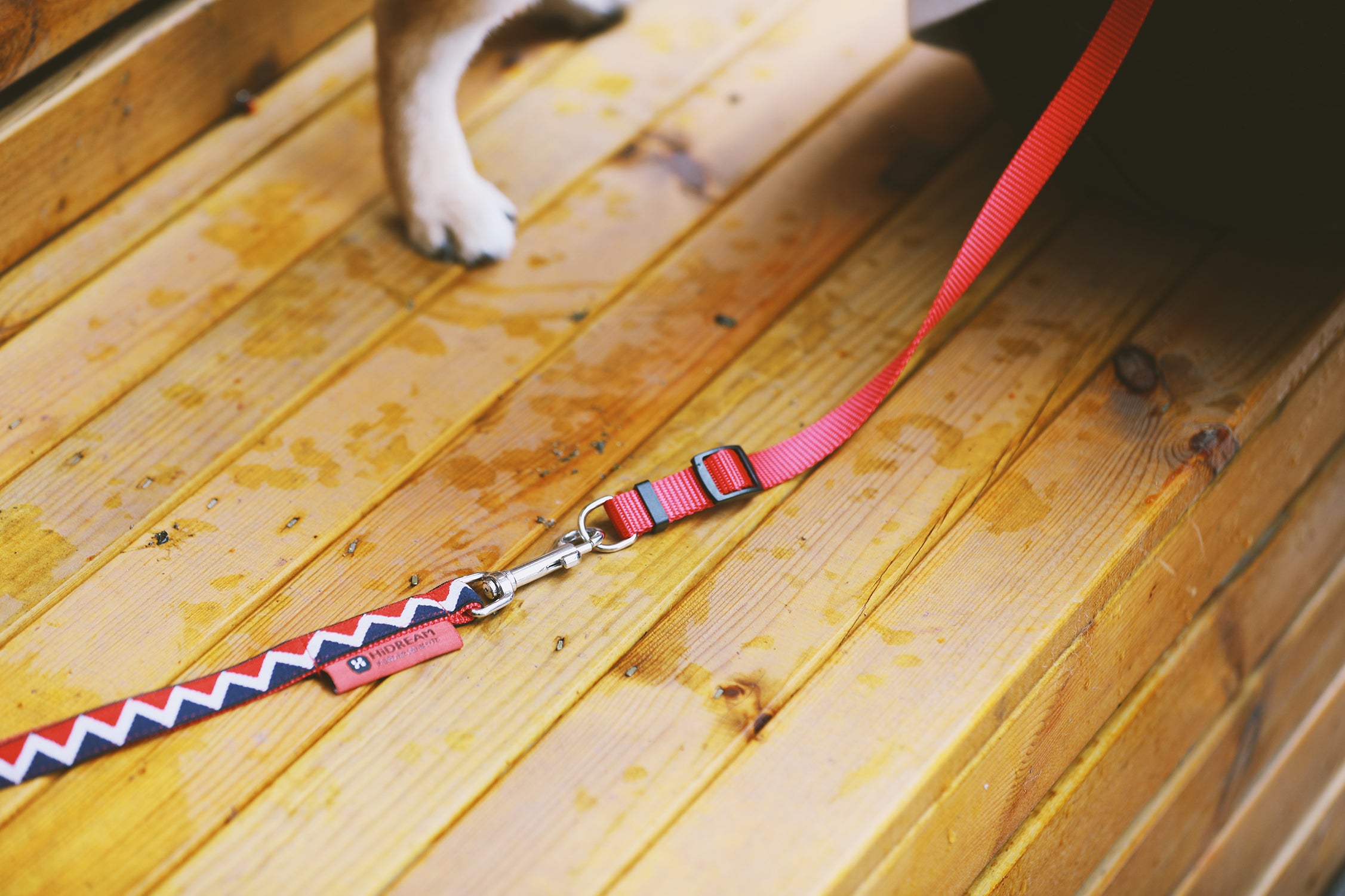 Rainbow Series - Multi functional Safety Strap