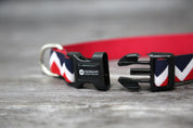 Rainbow Series - Collar