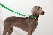 Colorful PRO Series - Half P Explosion proof Punch Collar