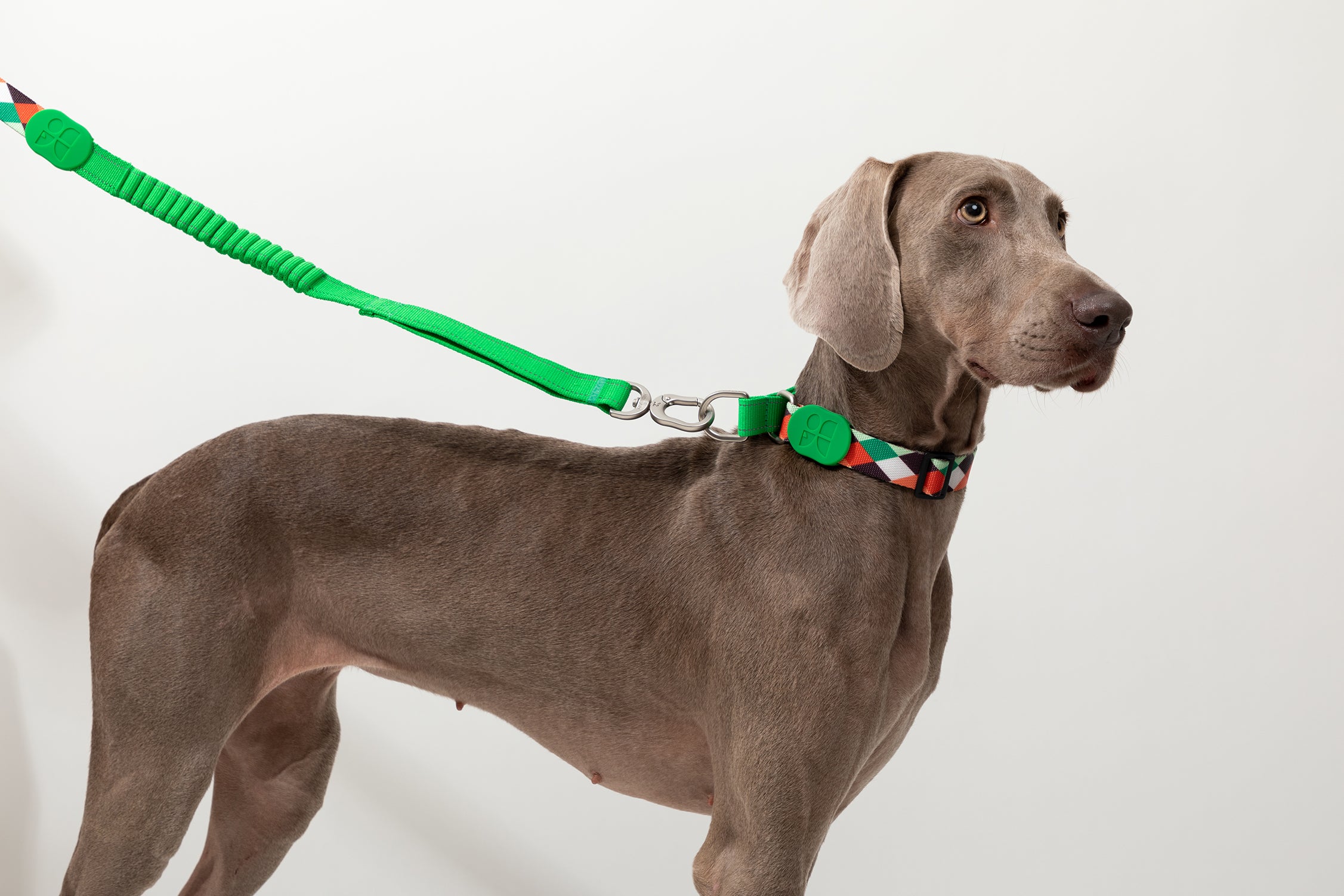 Colorful PRO Series - Half P Explosion proof Punch Collar