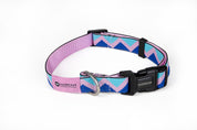 Rainbow Series - Collar