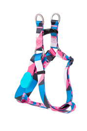 Colorful Series - Y-shaped Chest and Back