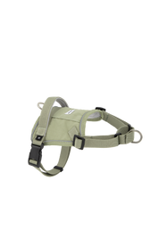 Valley series explosion-proof punching speed through dog chest and back