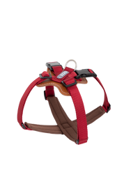 Bobo Series - Leather X-shaped Chest and Back