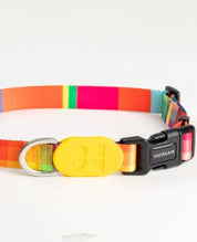 Aloha Paws Collar
