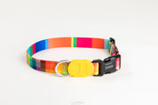 Colorful Series - Collar