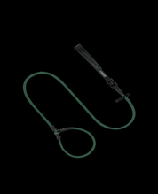 Pawsome Control Leash