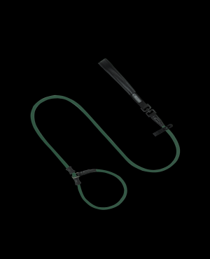 Pawsome Control Leash