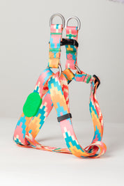 Colorful Series - Y-shaped Chest and Back