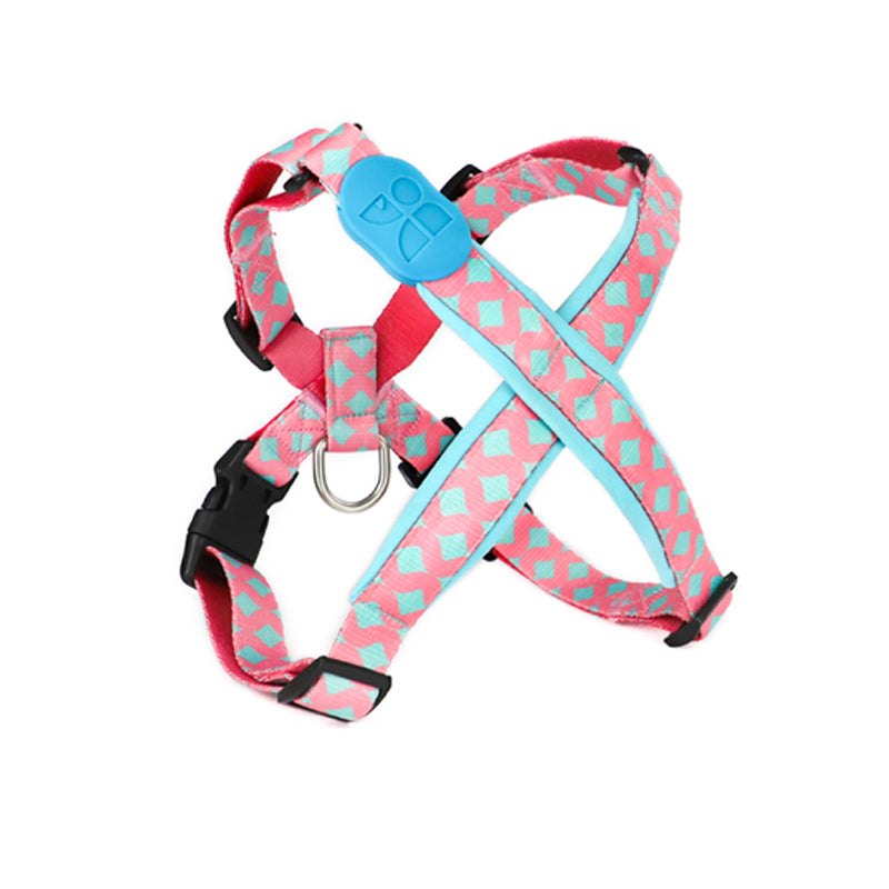 Colorful PRO Series - X-shaped Chest and Back