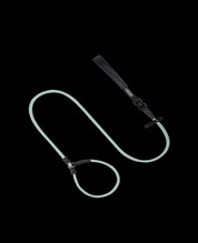 Pawsome Control Leash