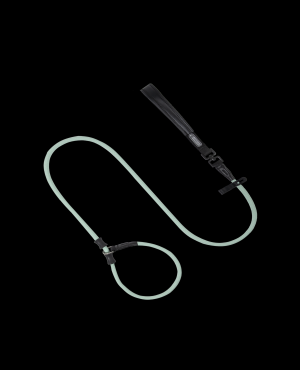 Pawsome Control Leash