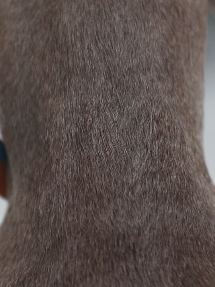 Aloha Paws Collar