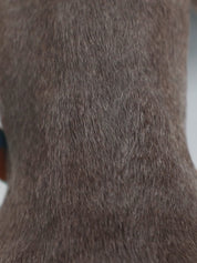 Aloha Paws Collar